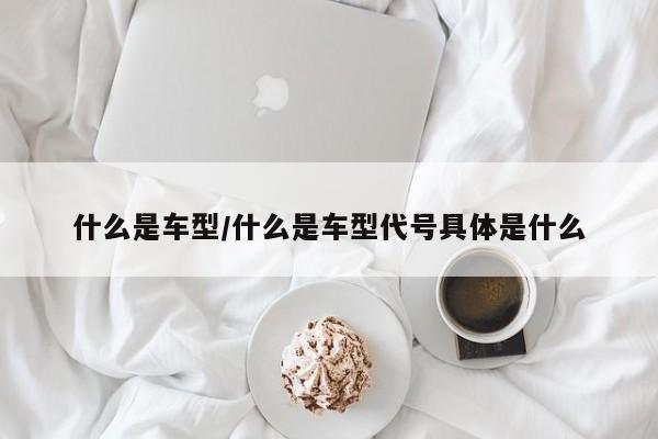 什么是车型/什么是车型代号具体是什么