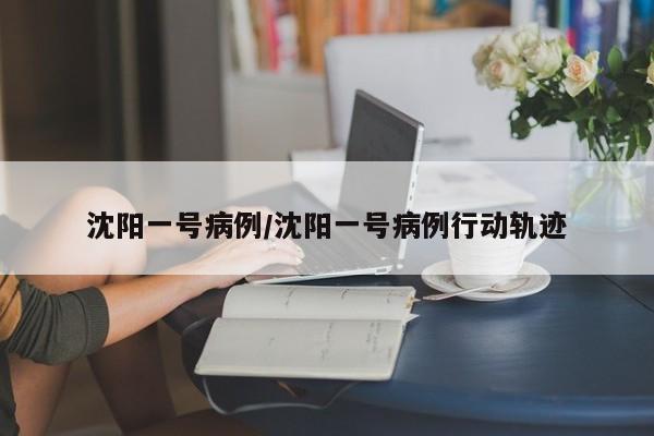 沈阳一号病例/沈阳一号病例行动轨迹