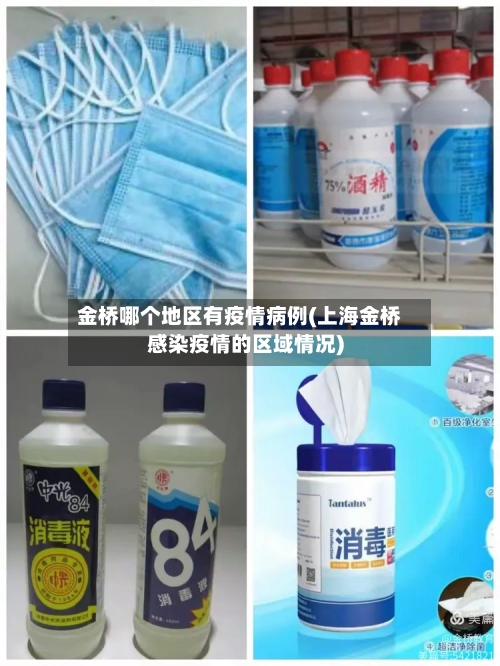金桥哪个地区有疫情病例(上海金桥感染疫情的区域情况)-第1张图片